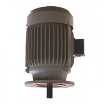 Aerator motor