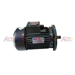 Paddle wheel aerator Motor
