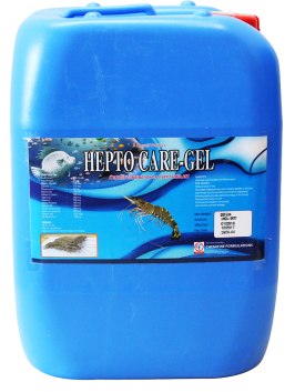 HEPTOCARE GEL