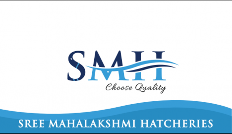 sri Mahalakshmi hatcheries