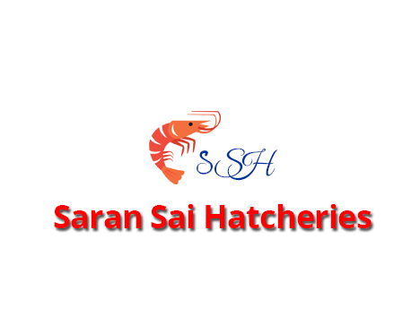 saran saai hatcheries